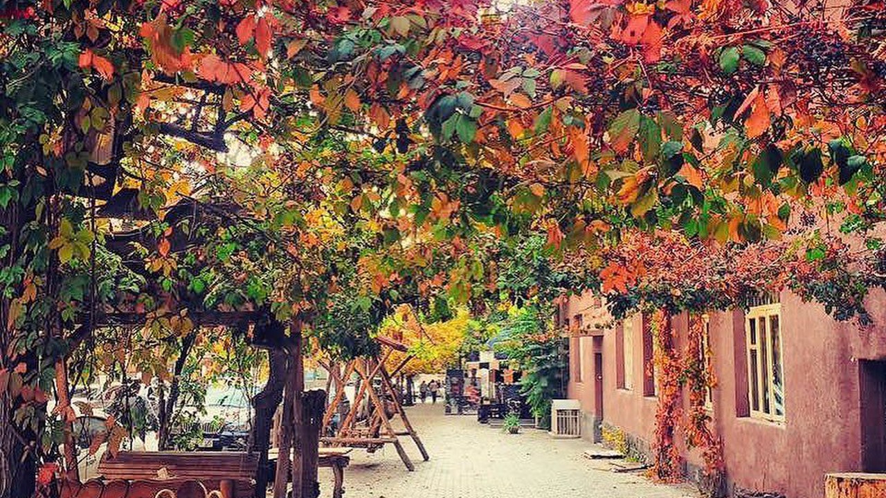 Visit Yerevan