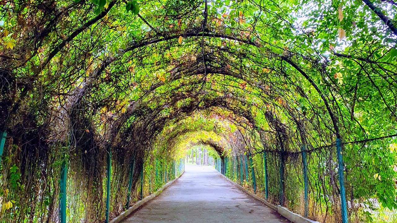 Visit Yerevan