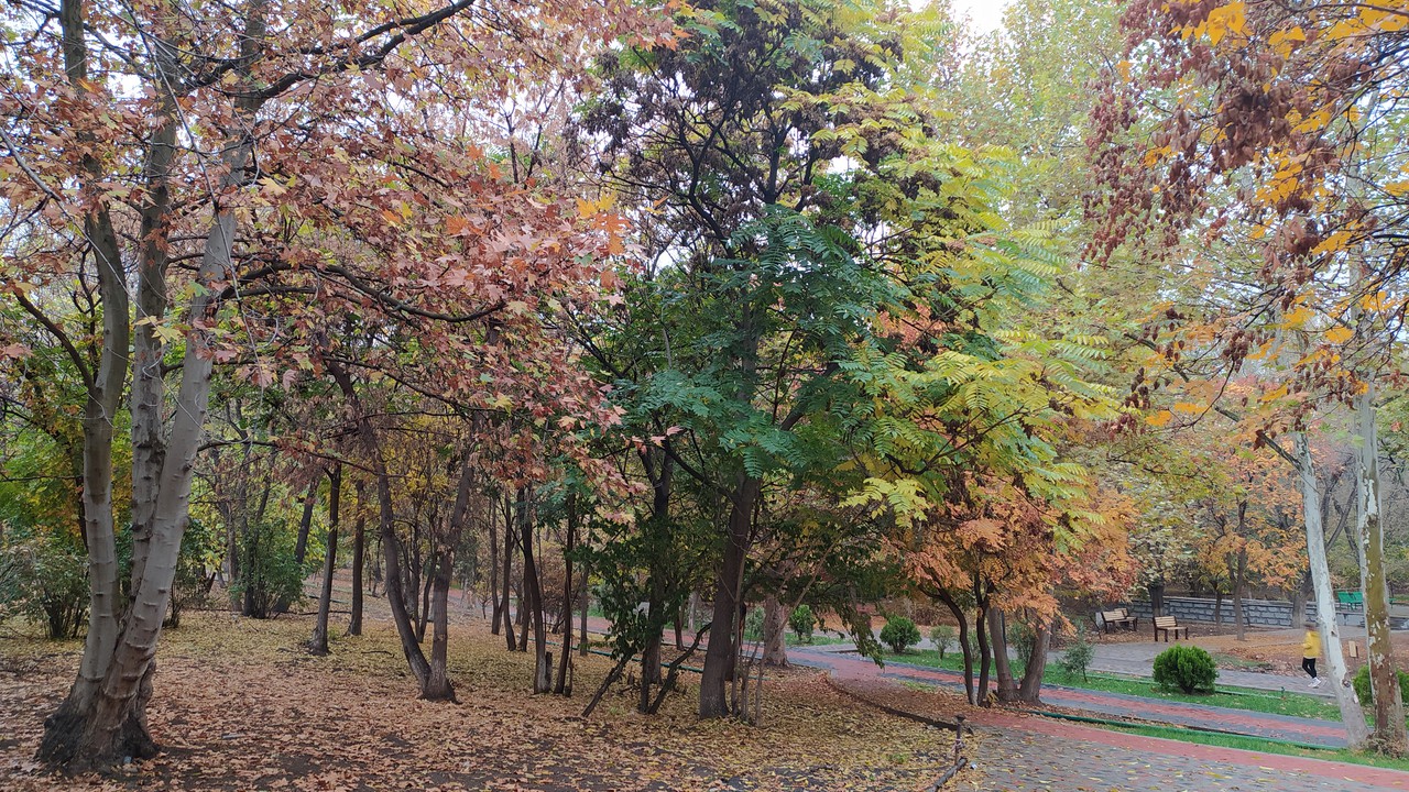 Visit Yerevan