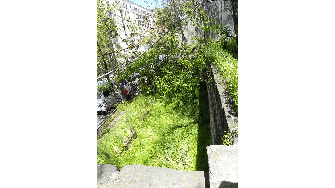 Visit Yerevan